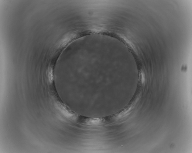 X0000091940479200709121623