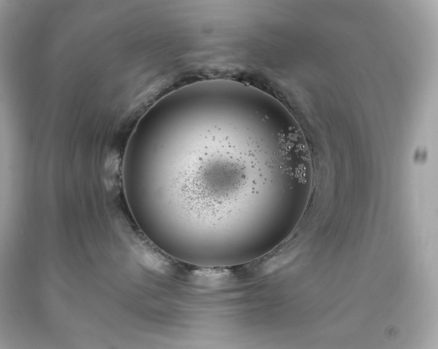 X0000091940480200709121623