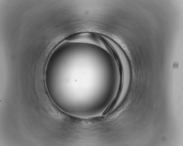 X0000091940481200709121622