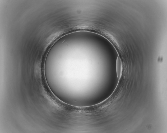 X0000091940482200709121622