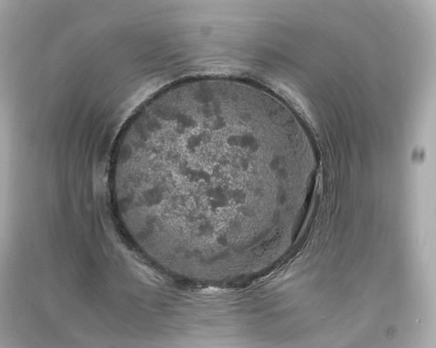 X0000091940483200709121622