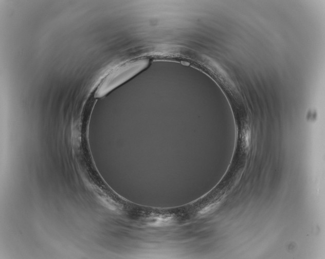 X0000091940484200709121622