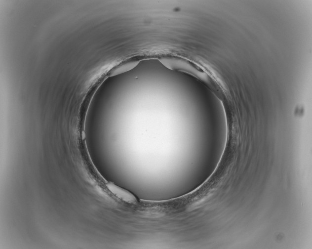 X0000091940485200709121622