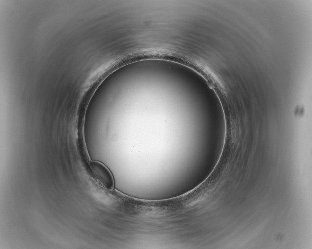 X0000091940486200709121622