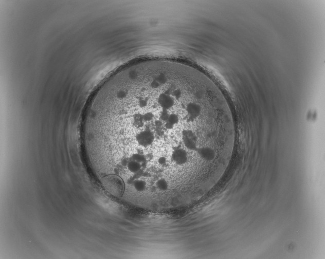 X0000091940487200709121622