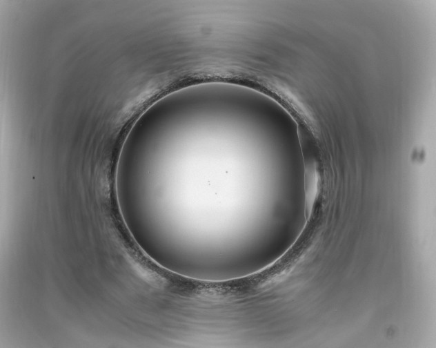 X0000091940489200709121622