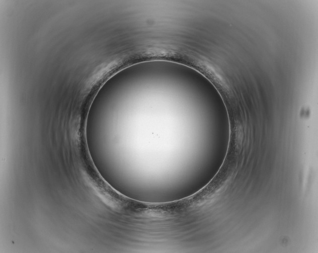 X0000091940490200709121622