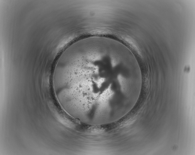 X0000091940491200709121622