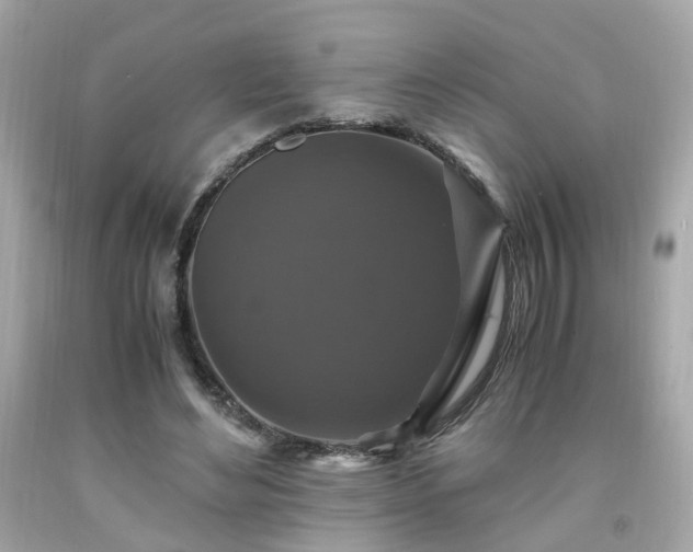 X0000091940492200709121622