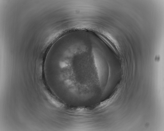 X0000091940493200709121622