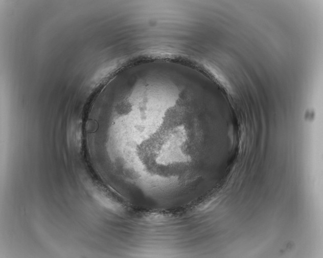 X0000091940494200709121622