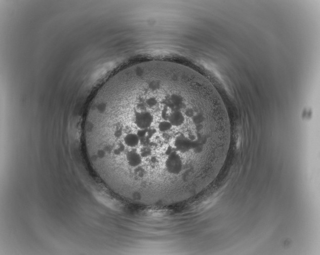 X0000091940495200709121622