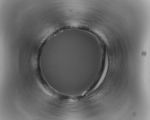 X0000091940496200709121622