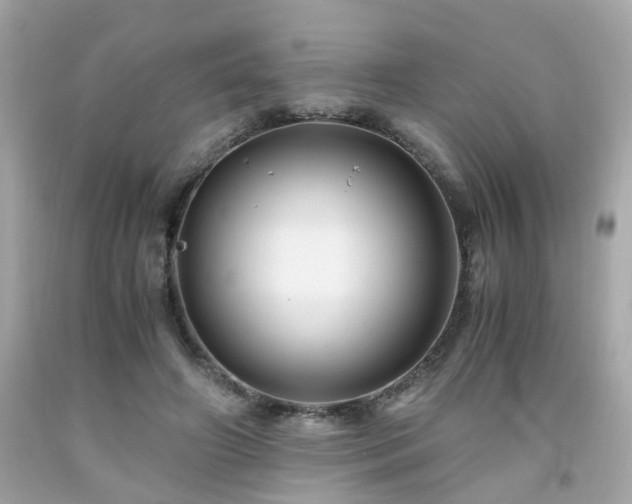 X0000091940498200709121622