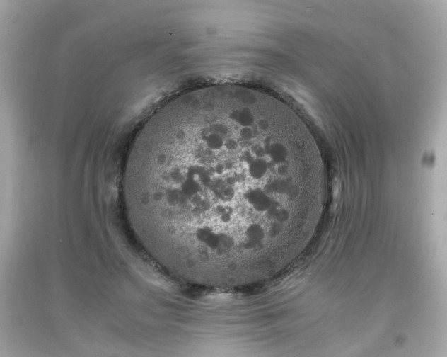 X0000091940499200709121622