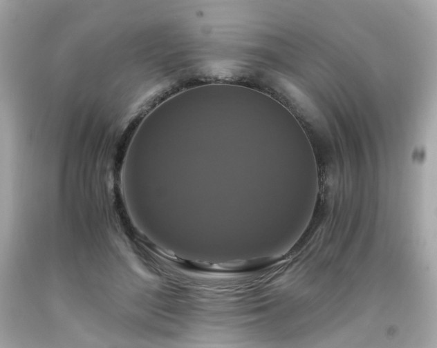 X0000091940500200709121622