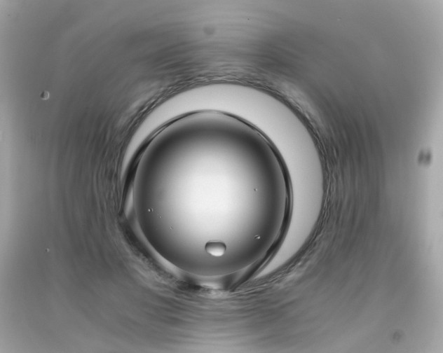 X0000091940501200709121622