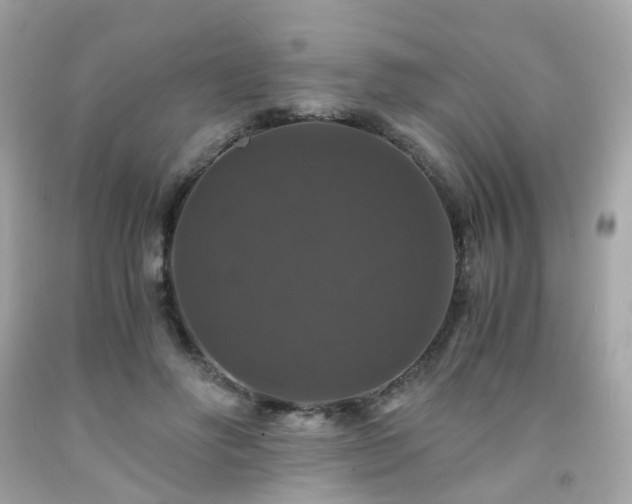 X0000091940502200709121622