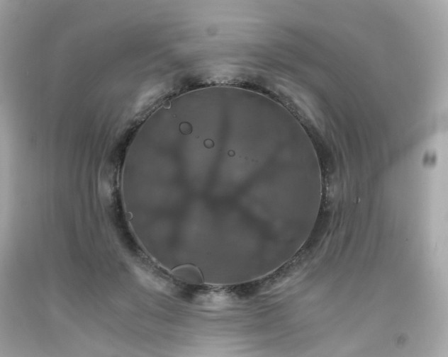 X0000091940503200709121622