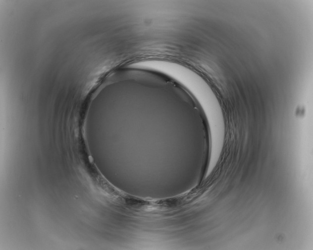 X0000091940504200709121622