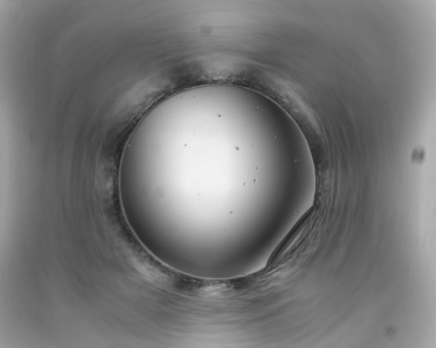 X0000091940505200709121622