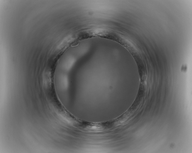 X0000091940506200709121622