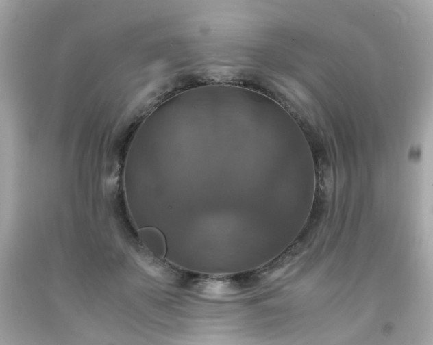 X0000091940507200709121622