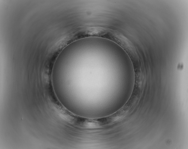 X0000091940510200709121622