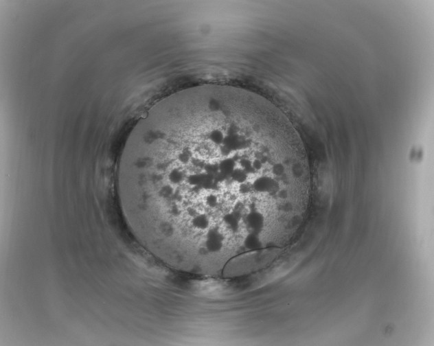 X0000091940511200709121622