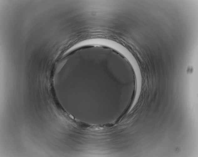 X0000091940512200709121622