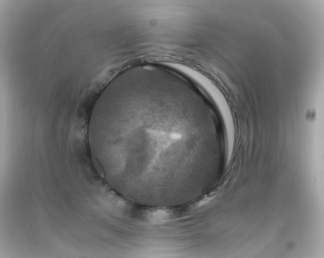 X0000091940513200709121622