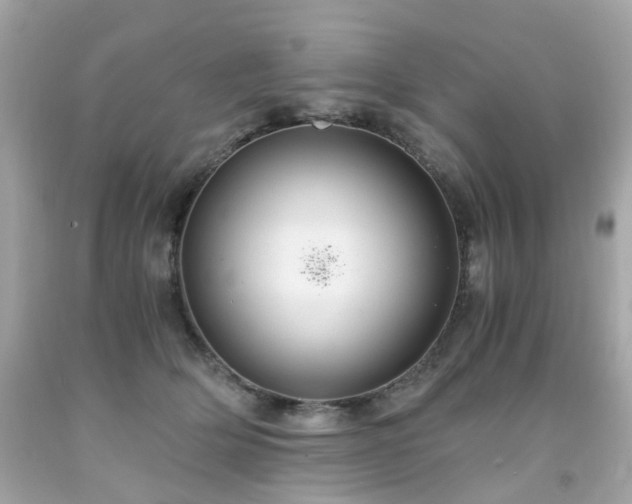 X0000091940514200709121622