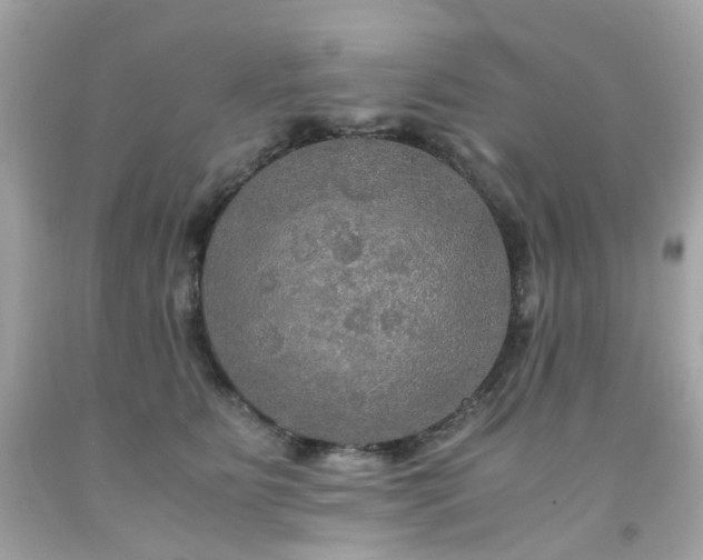 X0000091940515200709121622