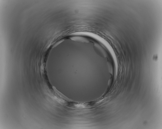 X0000091940516200709121622