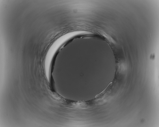 X0000091940517200709121622