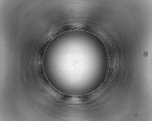 X0000091940518200709121622