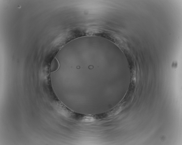 X0000091940519200709121622