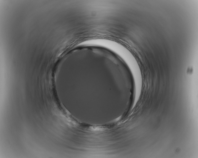 X0000091940520200709121622