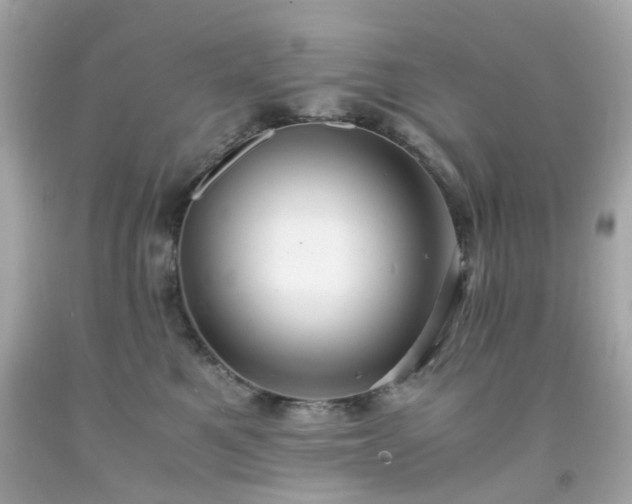 X0000091940521200709121622