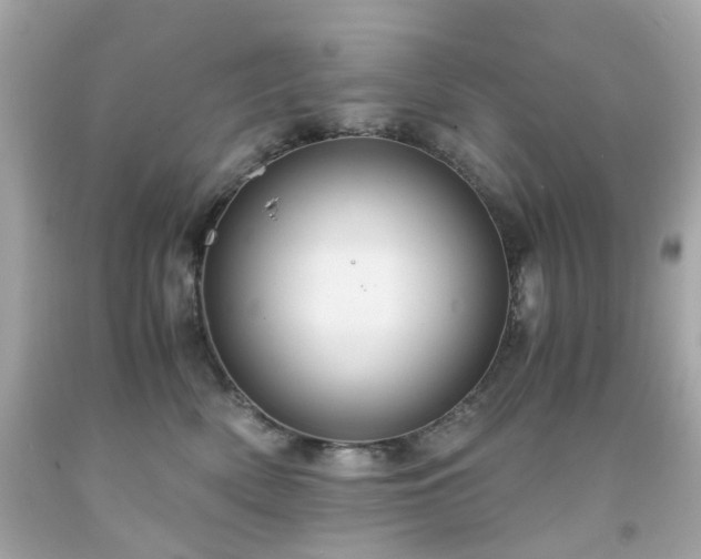 X0000091940522200709121622