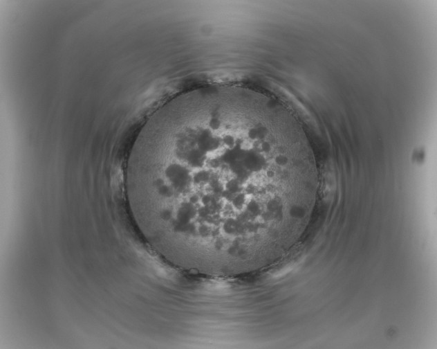 X0000091940523200709121622