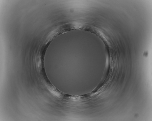 X0000091940524200709121621