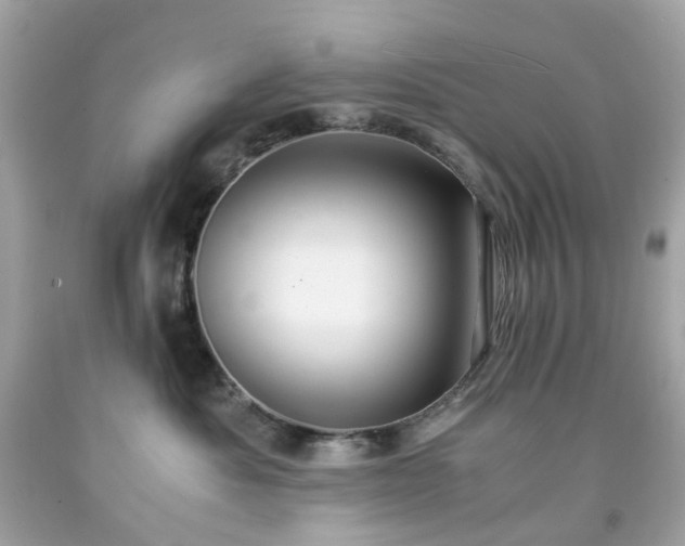 X0000091940525200709121621