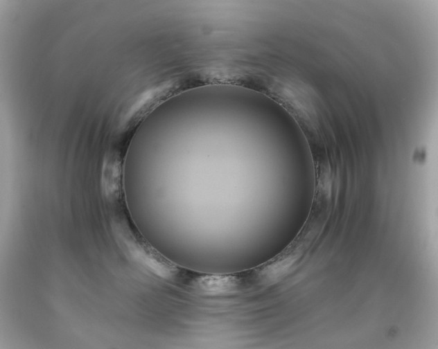 X0000091940526200709121621