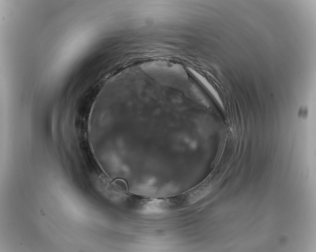 X0000091940527200709121621