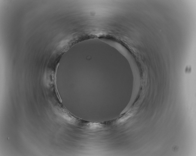 X0000091940528200709121621