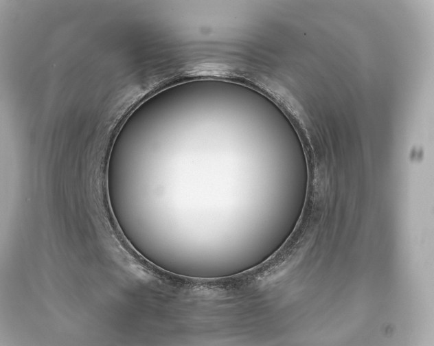 X0000091940529200709121621