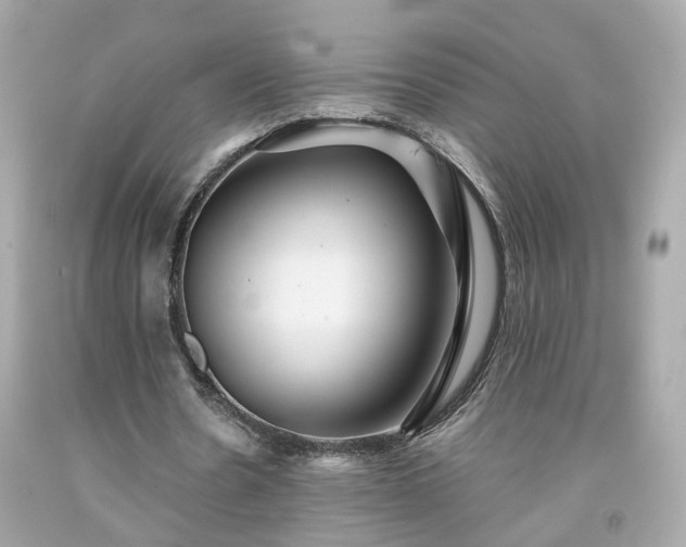 X0000091940530200709121621