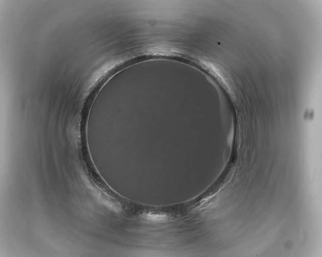 X0000091940531200709121621