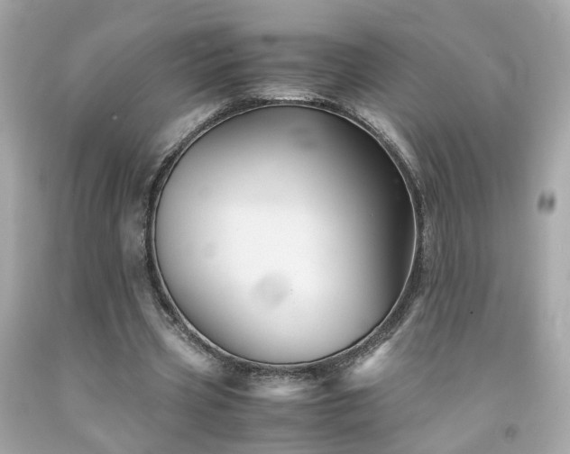 X0000091940533200709121621